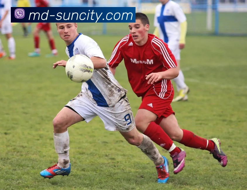 澳门太阳城APP 高清赛事图